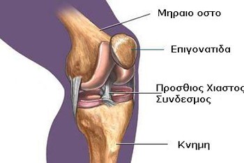 καταγματα εγγυς ακρου κνημης